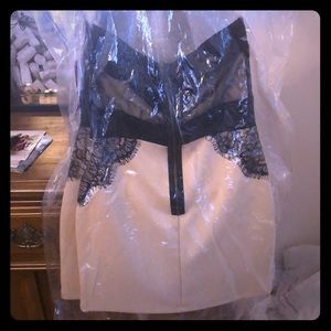 Trixxi Black And Beige Strapless Dress